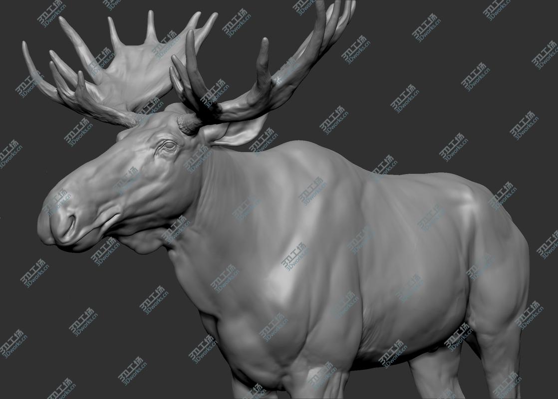images/goods_img/202104092/3D Moose model/5.jpg
